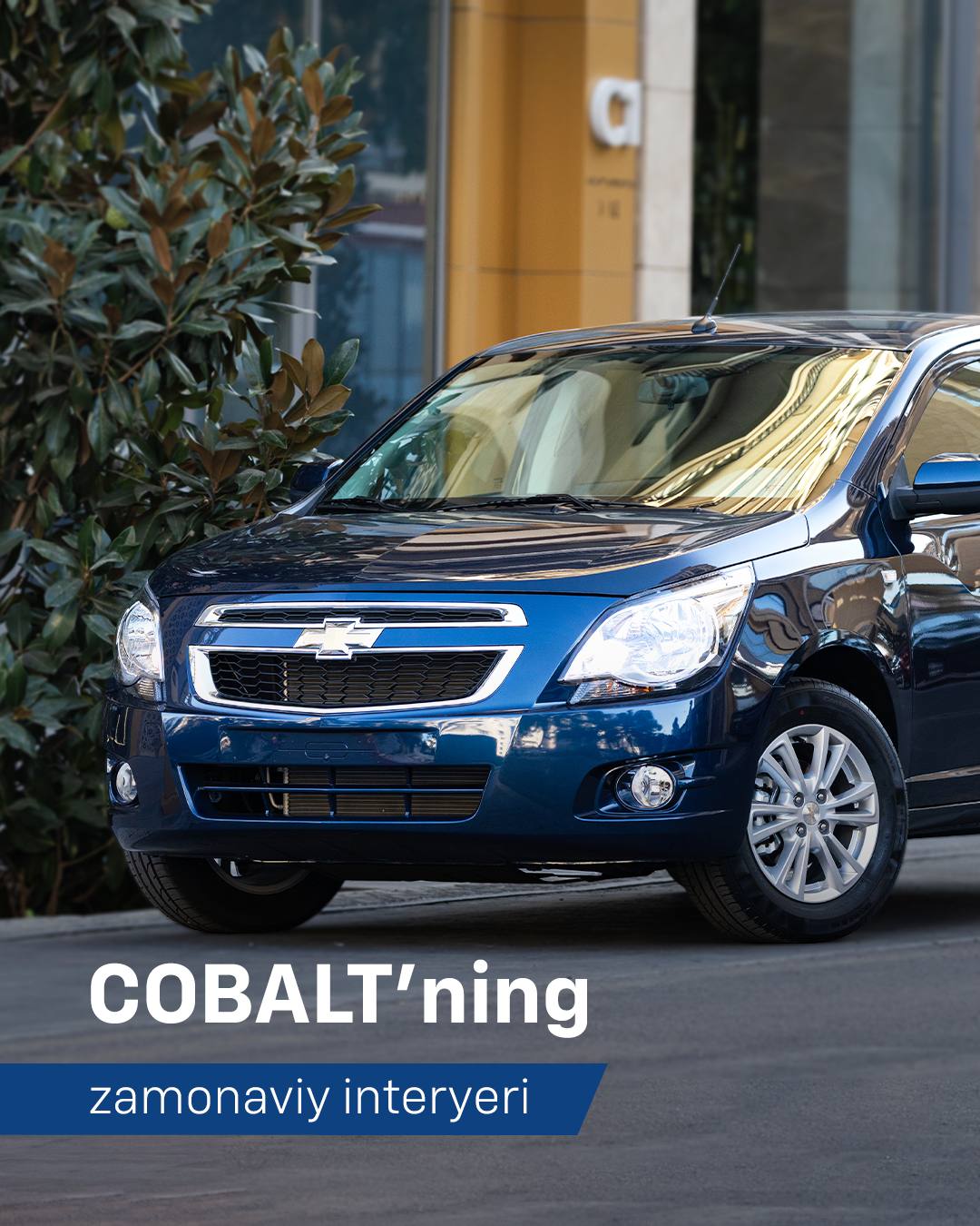 Cobalt 2025: когда ваши мечты обретают форму! 