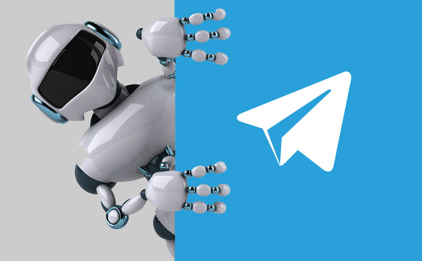 На официальном боте и сайте восстановлена ​проверить ​очередь