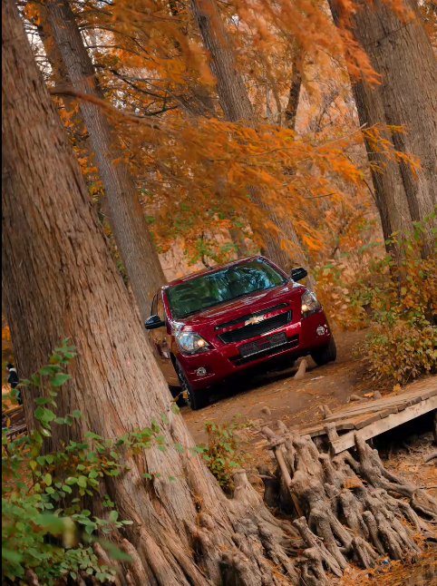 The autumn landscape looks especially beautiful in your favorite colors🍁