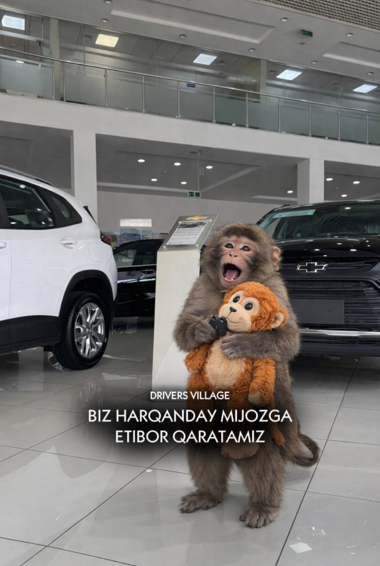 Drivers Village jamoasidan kreativ yondashuv 🐵😁